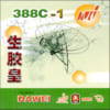 Gai trung 388C 1 King