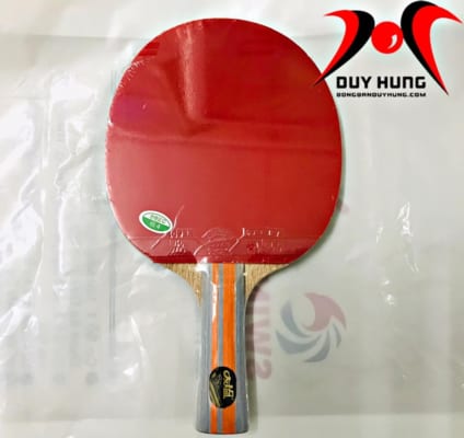 vợt 729 - 8036(2)