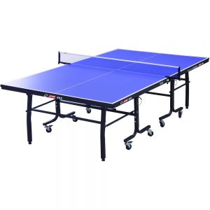 Bàn bóng bàn DHS T2125