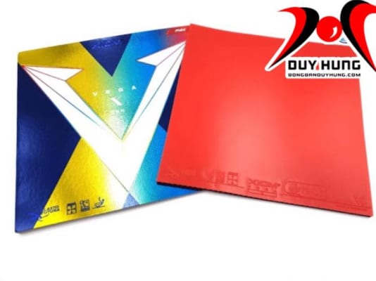 Mặt Xiom Vega X-3