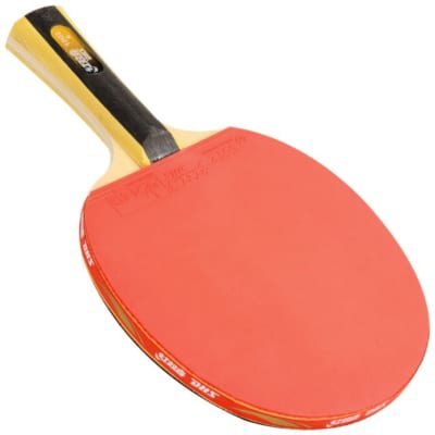 Vợt dán sẵn DHS 1002 (4)
