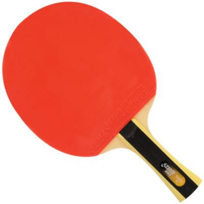Vợt dán sẵn DHS 1002 (2)