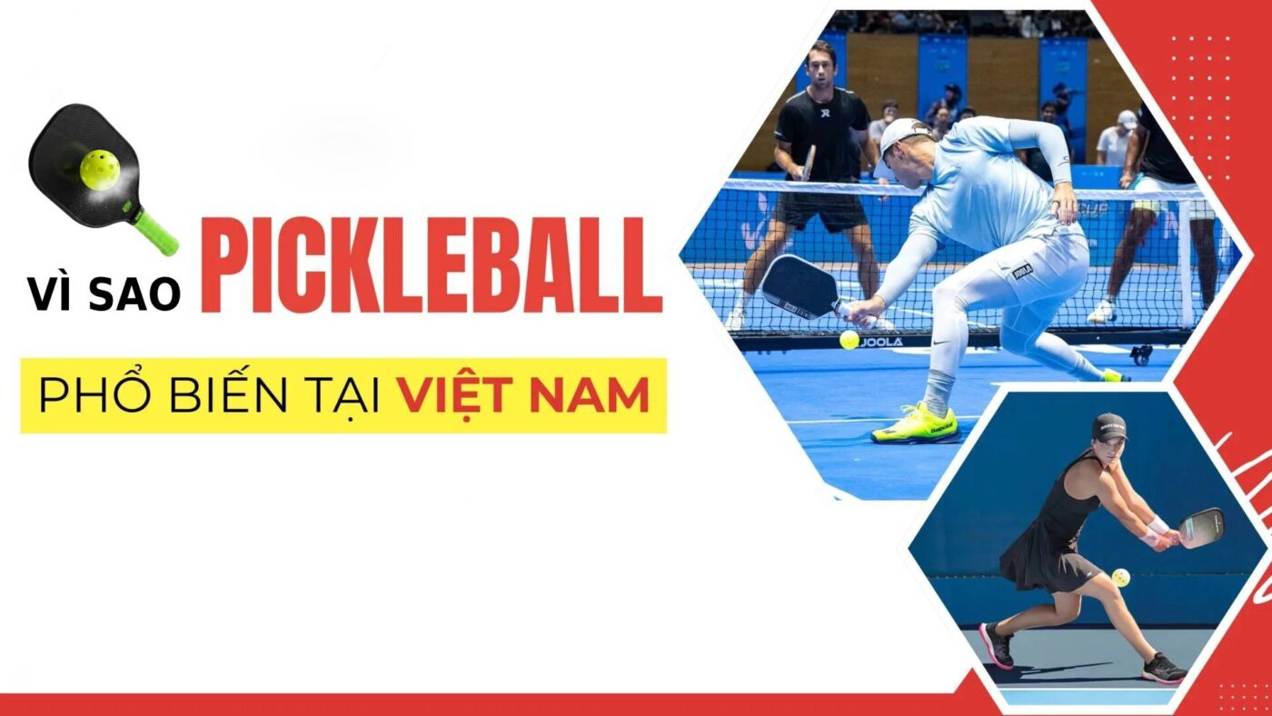 thuong hieu vot pickleball chinh hang pho bien tai viet nam